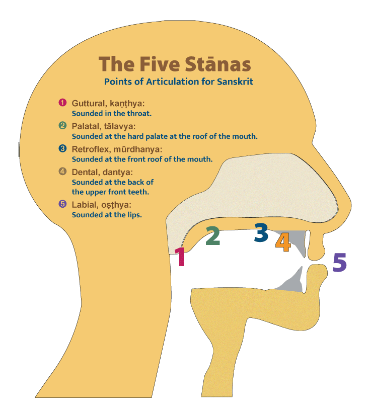 1_5-all-five-stanas-g3.png